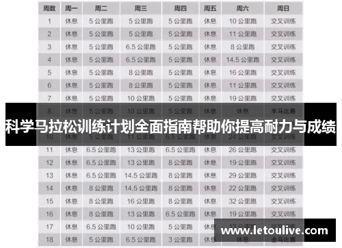 科学马拉松训练计划全面指南帮助你提高耐力与成绩