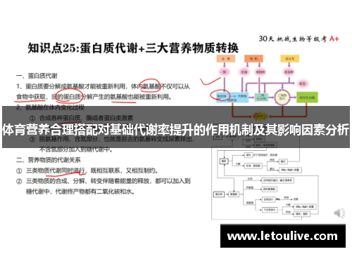 体育营养合理搭配对基础代谢率提升的作用机制及其影响因素分析